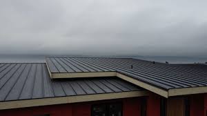 Best Roof Coating and Sealing  in Nd Point, WI